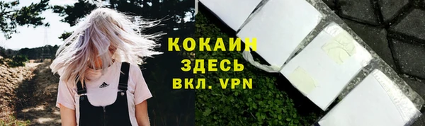 дживик Корсаков