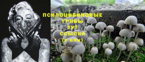 ешки Кодинск