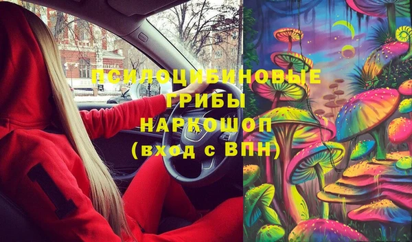 дживик Корсаков
