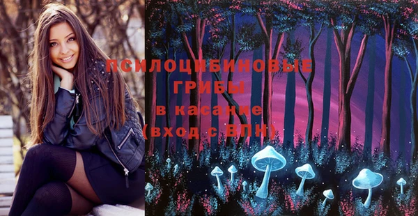PSILOCYBIN Всеволожск