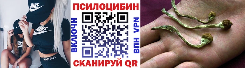 где найти наркотики  Красновишерск  Галлюциногенные грибы мицелий 